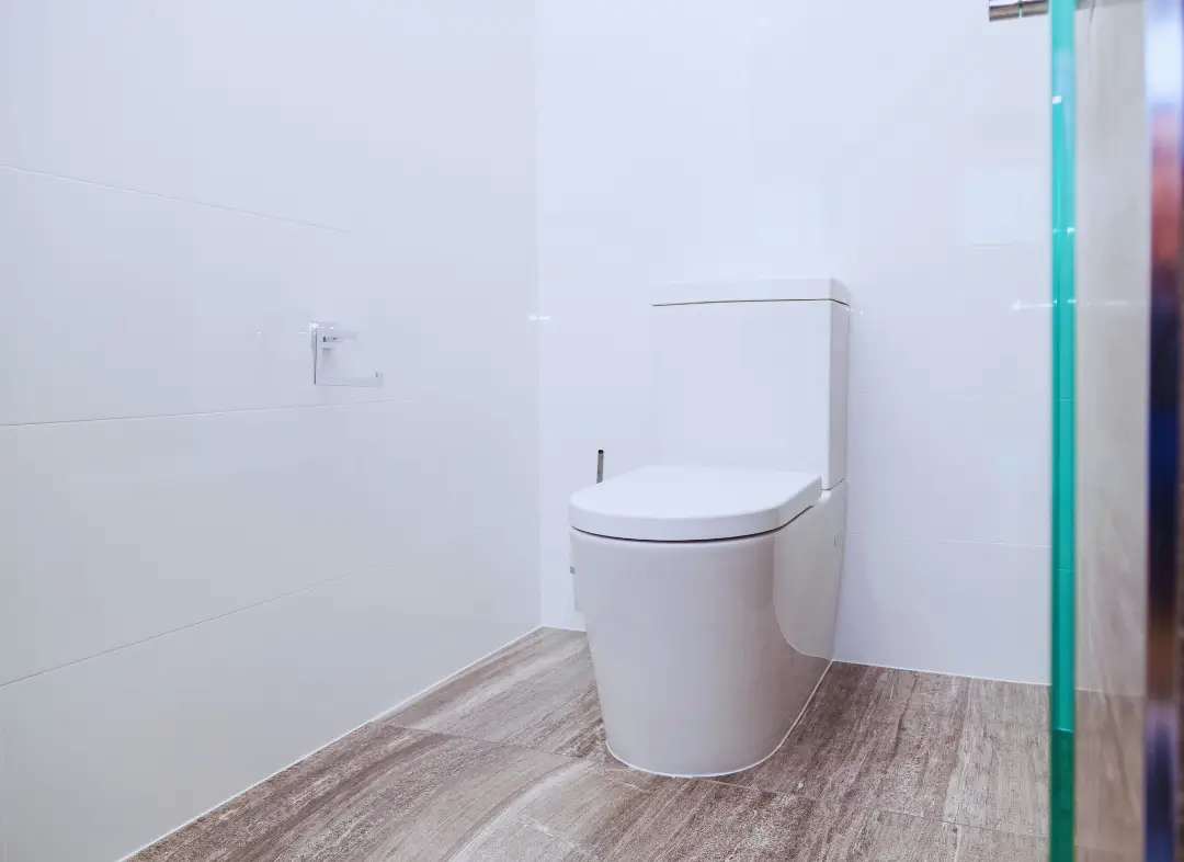 Remplacement de wc Aime-la-Plagne
